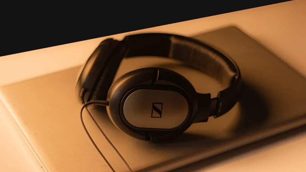 Wired Headphones