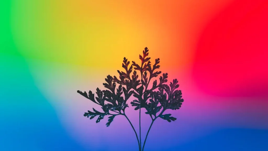 Branching leaf silhouette over a vibrant spectrum background illustrating what gradient boosting is in machine learning